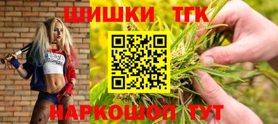 индика Северобайкальск