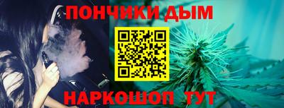 индика Северобайкальск
