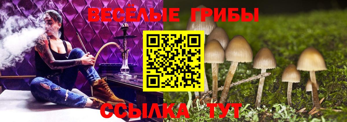 Галлюциногенные грибы MAGIC MUSHROOMS  Вход с VPN  Белогорск 